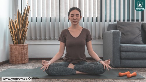 Discover the Power of Yoga with YoGrow