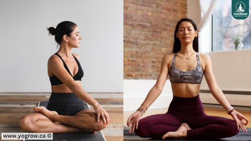 Stretching vs. Yoga: What’s the Real Difference?
