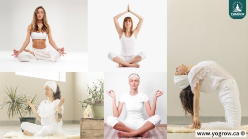 Awaken Your Energy with Kundalini Yoga: Transformative Benefits & How to Start