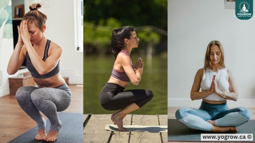 Detox Your Body and Mind with Yoga Twists for Inner Peace