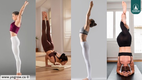 The Still Power of Mountain Pose | Benefits of Tadasana for Beginners