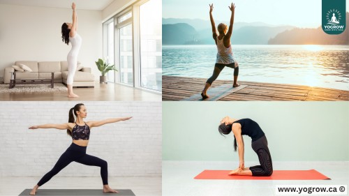 Zero to Zen: Energizing Yoga Poses That Instantly Boost Vitality