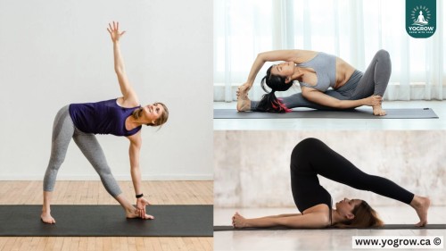 Power Yoga or Hatha Yoga? Find Out Which Practice Suits You Better