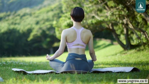 Holistic Yoga: How to Integrate Mindfulness into Every Pose for Complete Balance