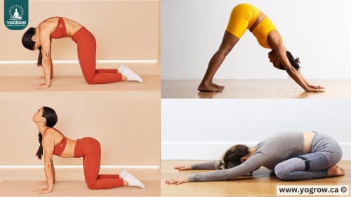 Struggling With Back Pain? This Healing Yoga Flow Brings Real Relief