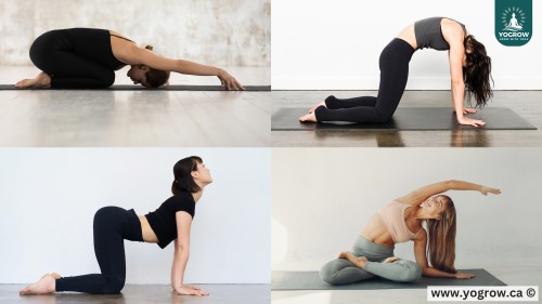The Fastest Way to Relax? This 10-Minute Yoga Flow Changes Everything