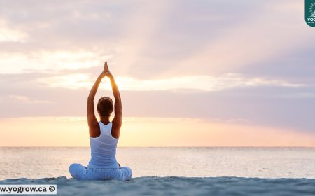 Ready to Flow? Start Your Yoga Journey Today!