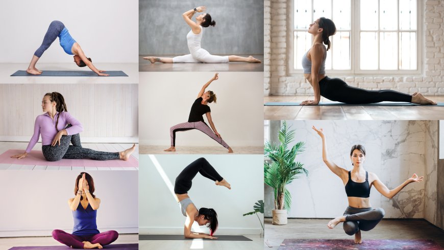 Which Yoga Style is Right for You? Find Your Match!