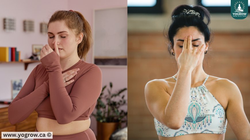 Breath-Connected Movement in Yoga: Flow, Balance & Harmony
