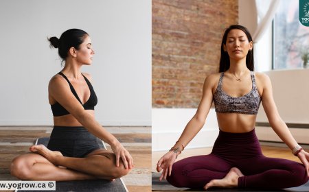 Stretching vs. Yoga: What’s the Real Difference?