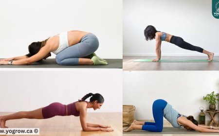 Yoga Therapy for Pain Relief : Back, Joints & Muscle Tension