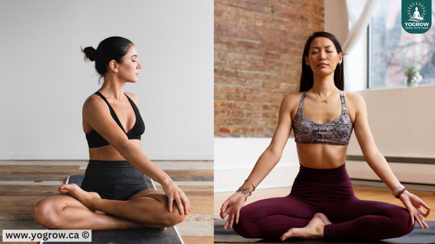 Stretching vs. Yoga: What’s the Real Difference?