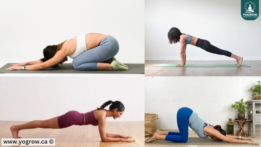 Yoga Therapy for Pain Relief : Back, Joints & Muscle Tension
