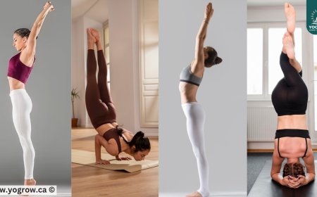 The Still Power of Mountain Pose | Benefits of Tadasana for Beginners