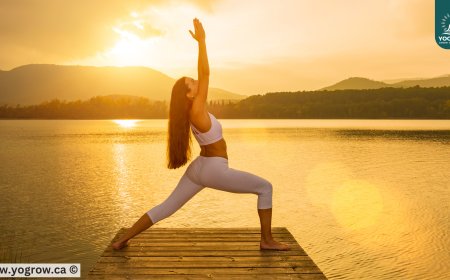 Warrior Pose Benefits: Strength, Focus & Inner Power