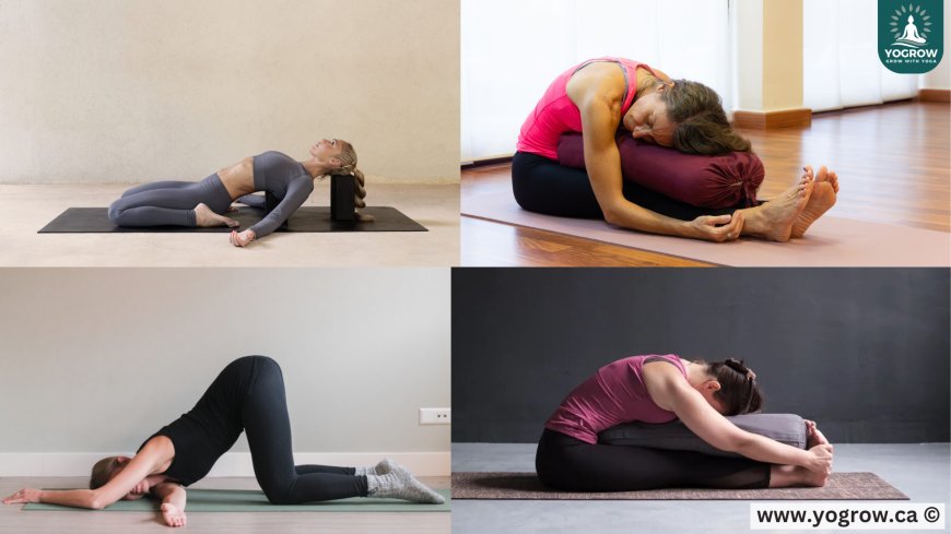 Stillness is Strength: Heal Deeply with Yin Yoga