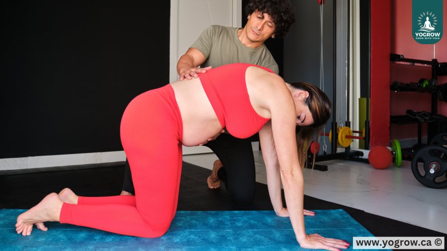 Which Trimester Are You In? Discover the Perfect Yoga Routine for You