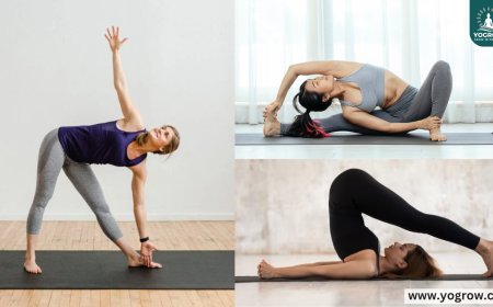Power Yoga or Hatha Yoga? Find Out Which Practice Suits You Better