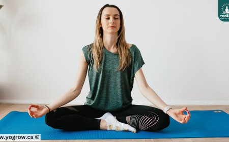 Why Your Breath Matters More Than You Think in Yoga Practice !