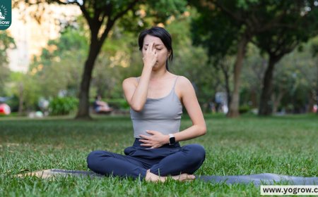 Yoga for Better Breathing: Discover Calm and Focus Through Pranayama | Yogrow
