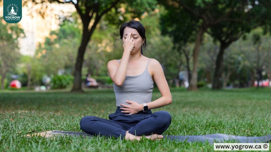 Yoga for Better Breathing: Discover Calm and Focus Through Pranayama | Yogrow