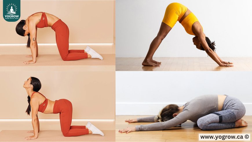 Struggling With Back Pain? This Healing Yoga Flow Brings Real Relief